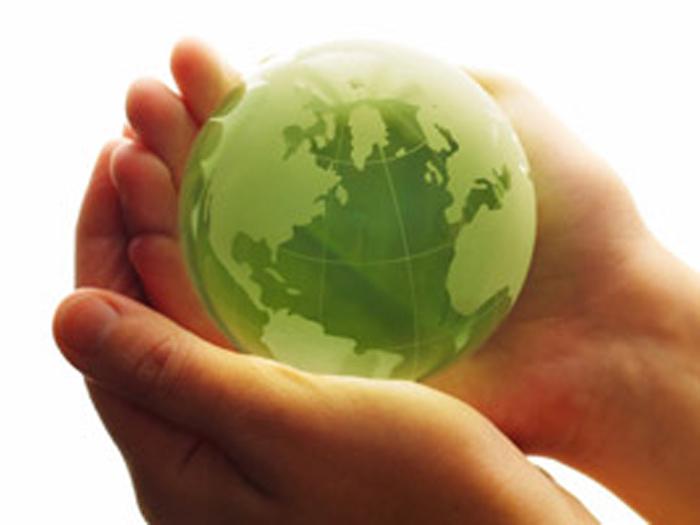 Réhabilitation et produits biosourcés : un label au bois dormant ?